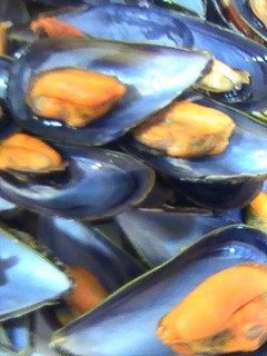 Una foto de Mejillones al vapor con cerveza