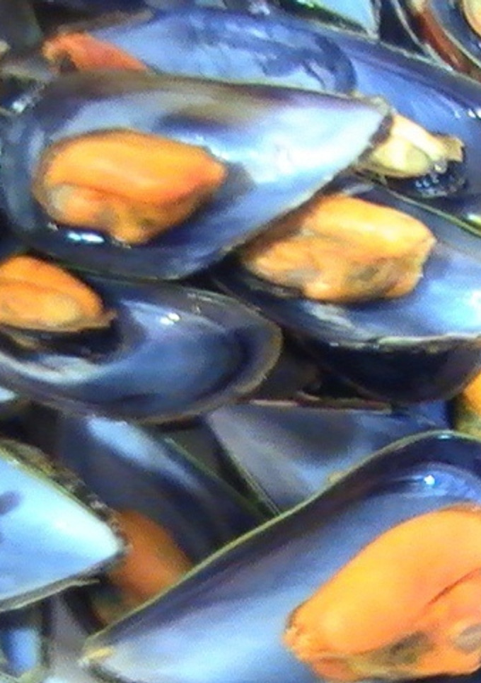 Una foto de Mejillones al vapor con cerveza