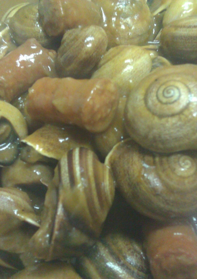 Una foto de Caracoles picantitos en salsa