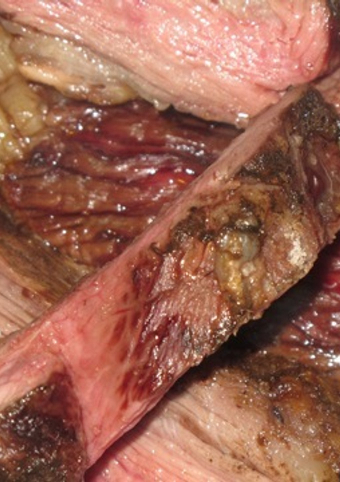 Una foto de Vacio a la parrilla