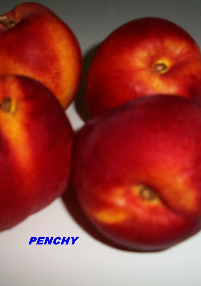 Una foto de Mousse cremosa de nectarinas