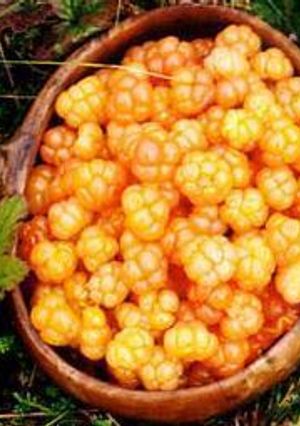 Una foto de Crema de moras amarillas