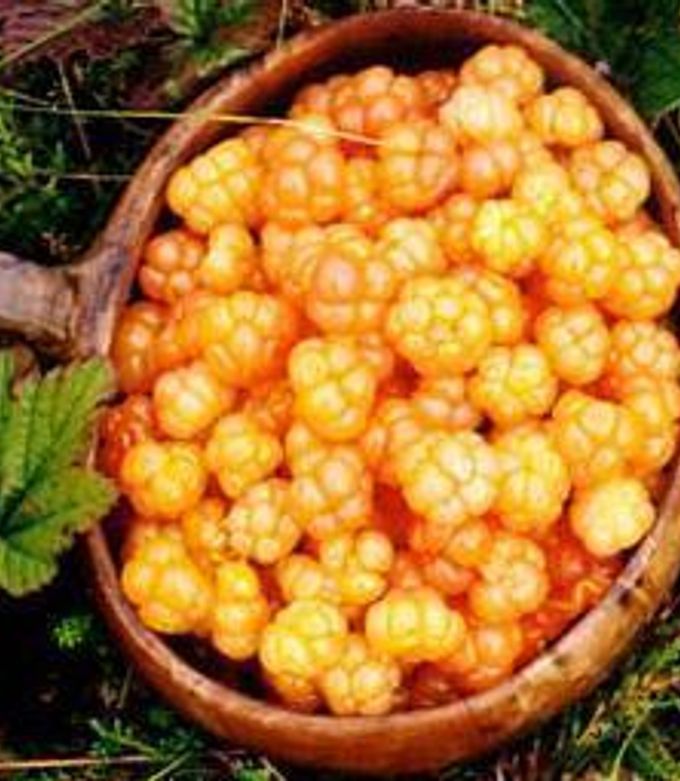 Foto principal de Crema de moras amarillas