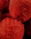 Croquetas de pulpo
