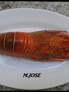 Una foto de Langosta en el horno