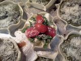 Canastitas de mozzarella, albahaca y cherry
