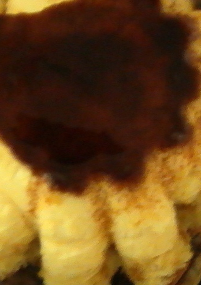Una foto de Bizcocho con flan (Thermomix 31) 