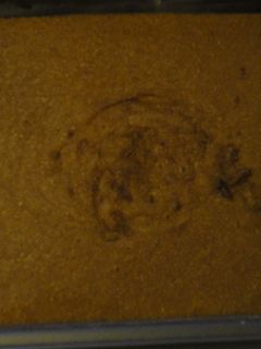 Una foto de Pastel de moka fácil