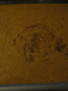 Una foto de Pastel de moka fácil