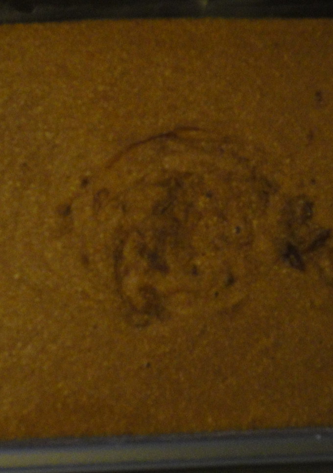Una foto de Pastel de moka fácil