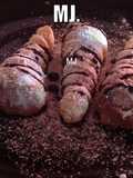 Canutillos rellenos de crema pastelera de chocolate