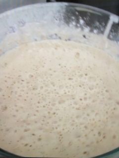 Una foto de Masa madre natural