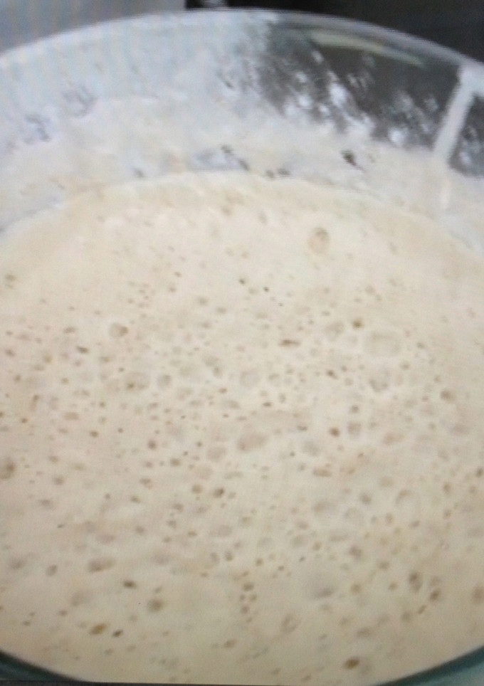 Una foto de Masa madre natural