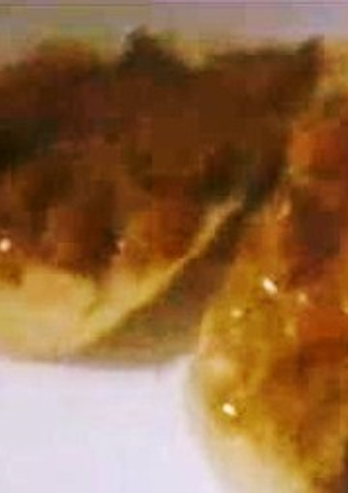 Una foto de Pintxos de magro de cerdo a la naranja con nata