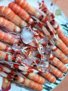 Una foto de Cigalas para Navidad