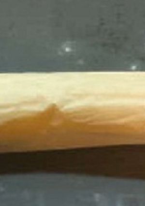 Foto principal de Bizcocho para brazo de gitano