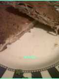 Lepiotas rellenas