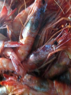 Una foto de Gambas rojas a la plancha