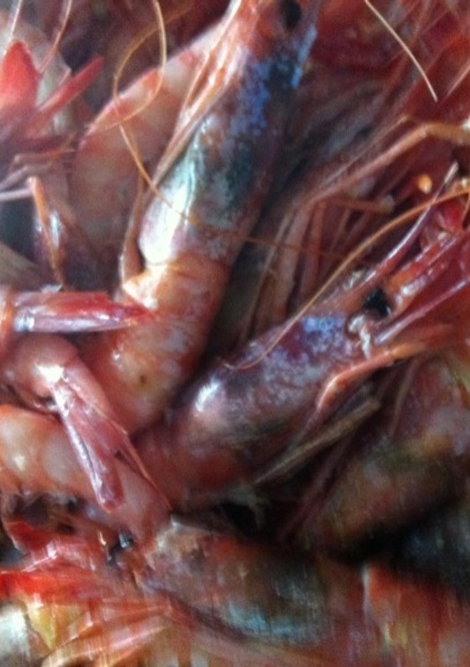 Una foto de Gambas rojas a la plancha