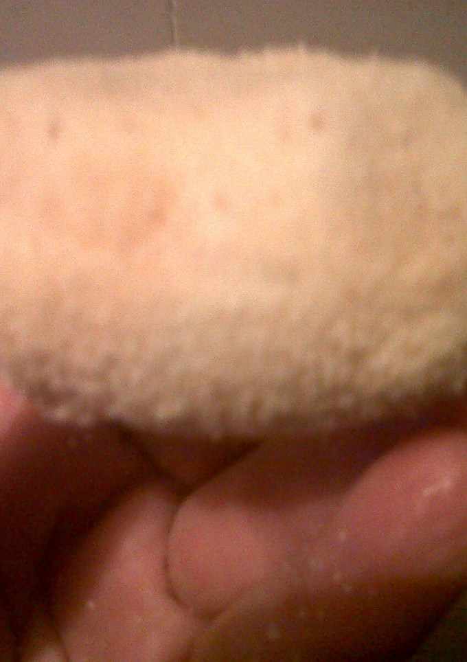 Una foto de Huevos con bechamel fritos
