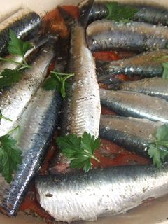 Una foto de Sardinas horneadas con tomate y cebolla