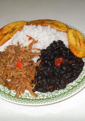 Una foto de Pabellón Criollo venezolano