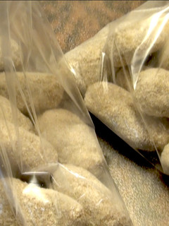 Una foto de Croquetas para congelar