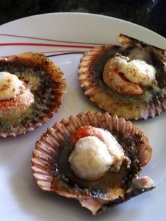 Una foto de Vieiras gratinadas al horno con parmesano