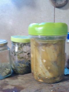 Una foto de Pencas en escabeche