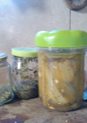 Una foto de Pencas en escabeche