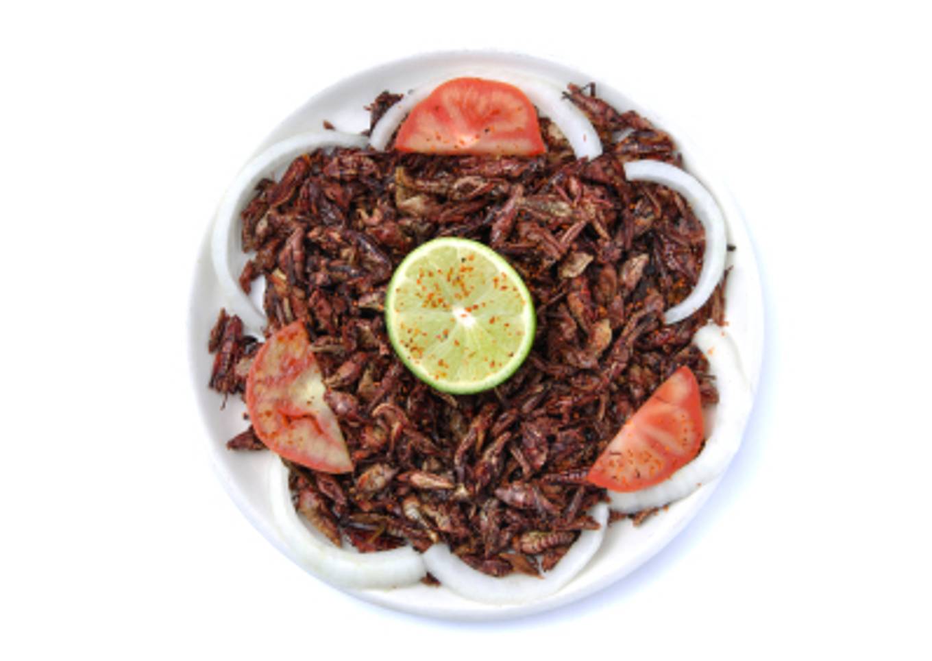 Chapulines