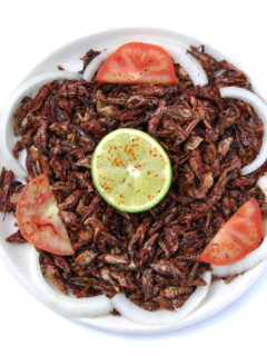 Una foto de Chapulines
