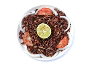 Foto principal de Chapulines