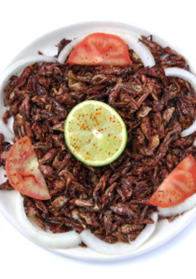 Una foto de Chapulines