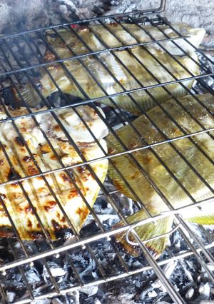Una foto de Rodaballos a la brasa