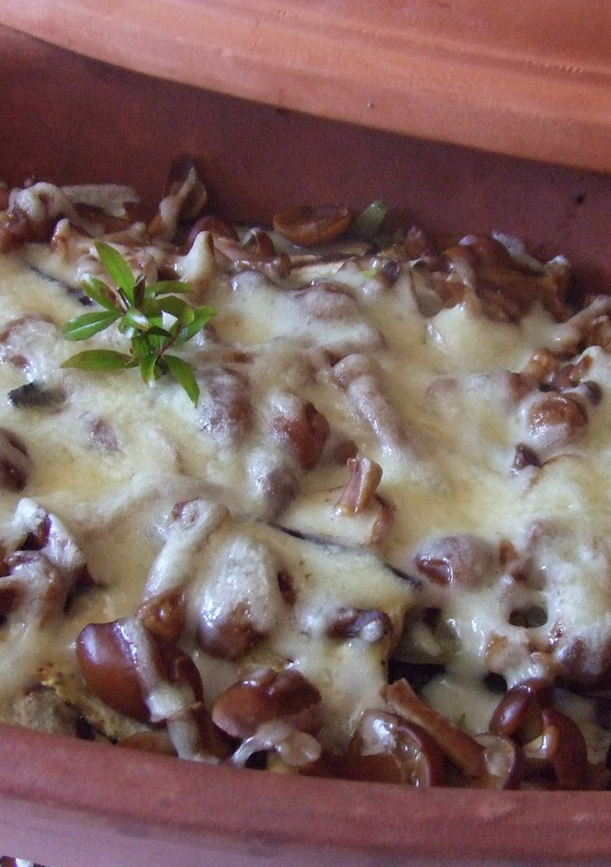 Una foto de Gratinado de pollo y setas con berenjenas en cocotte