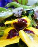 Ensalada de roble, rúcula y flores