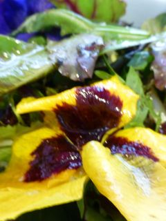 Una foto de Ensalada de roble, rúcula y flores