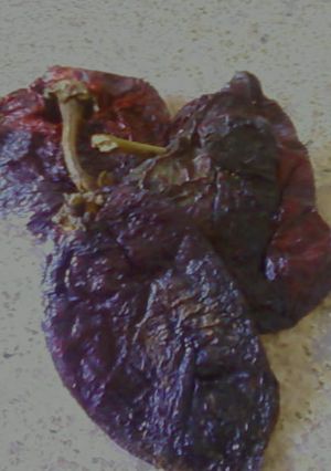 Una foto de CARNE MICHOACANA