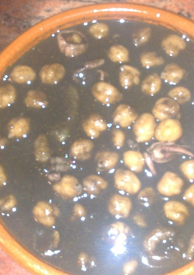 Una foto de Garbanzos negros