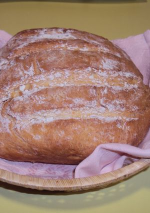 Una foto de Pan rápido Thermomix