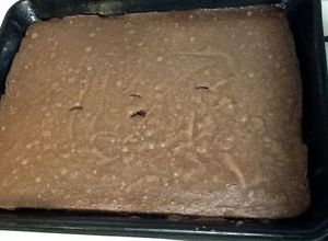 Foto principal de Brownie de chocolate exquisita