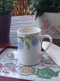 Té pakistaní especial con leche