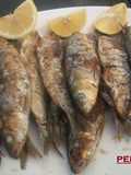 Sardinada en barbacoa