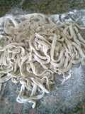 Fideos o pasta Integral