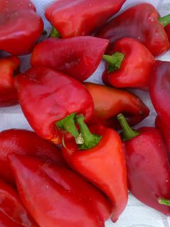 Una foto de Pimientos asados a la leña