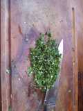 Provenzal para achuras