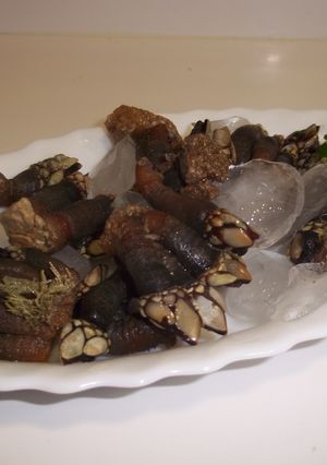 Una foto de Percebes Marroquíes cocidos