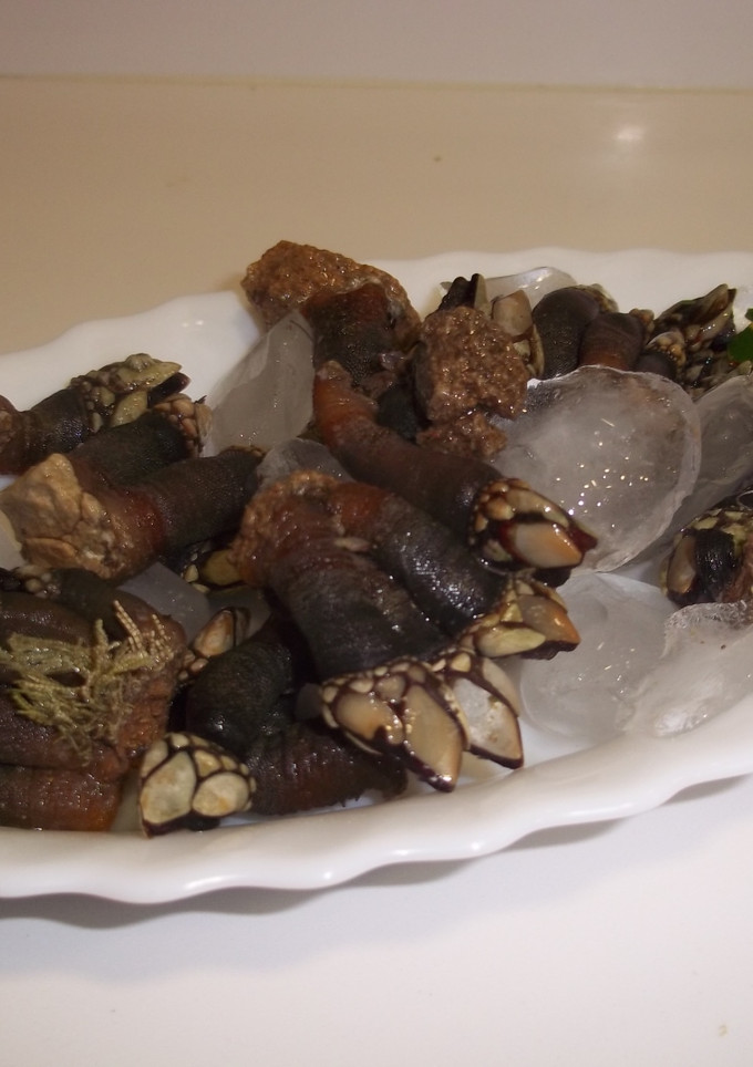 Una foto de Percebes Marroquíes cocidos