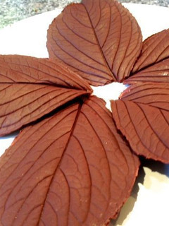 Una foto de Adornos de chocolate para tartas